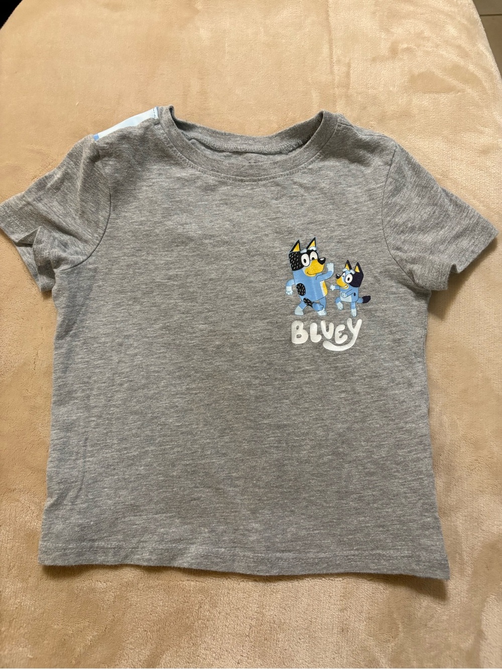 Bluey Graphic Grey Kids Short Sleeve Tee